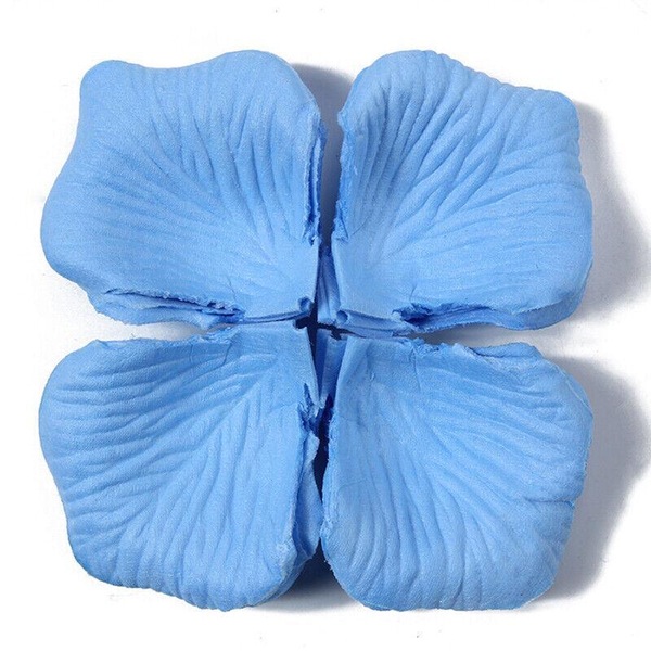 Image 13