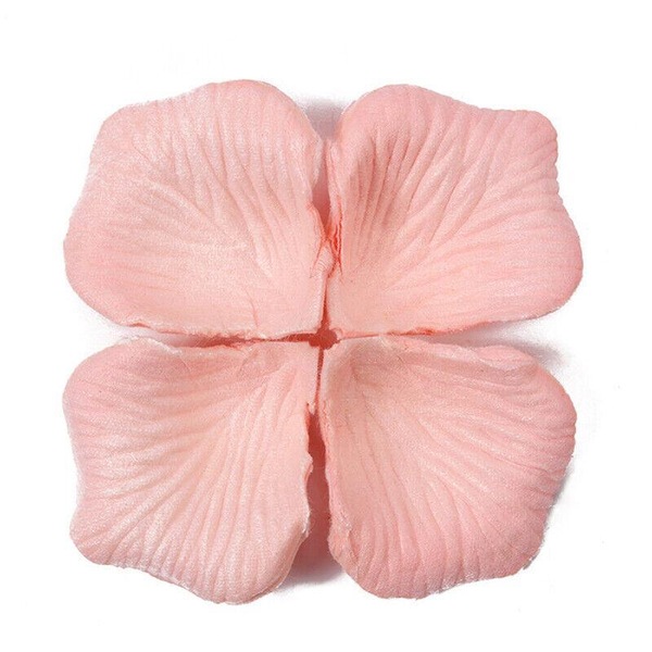 Image 17