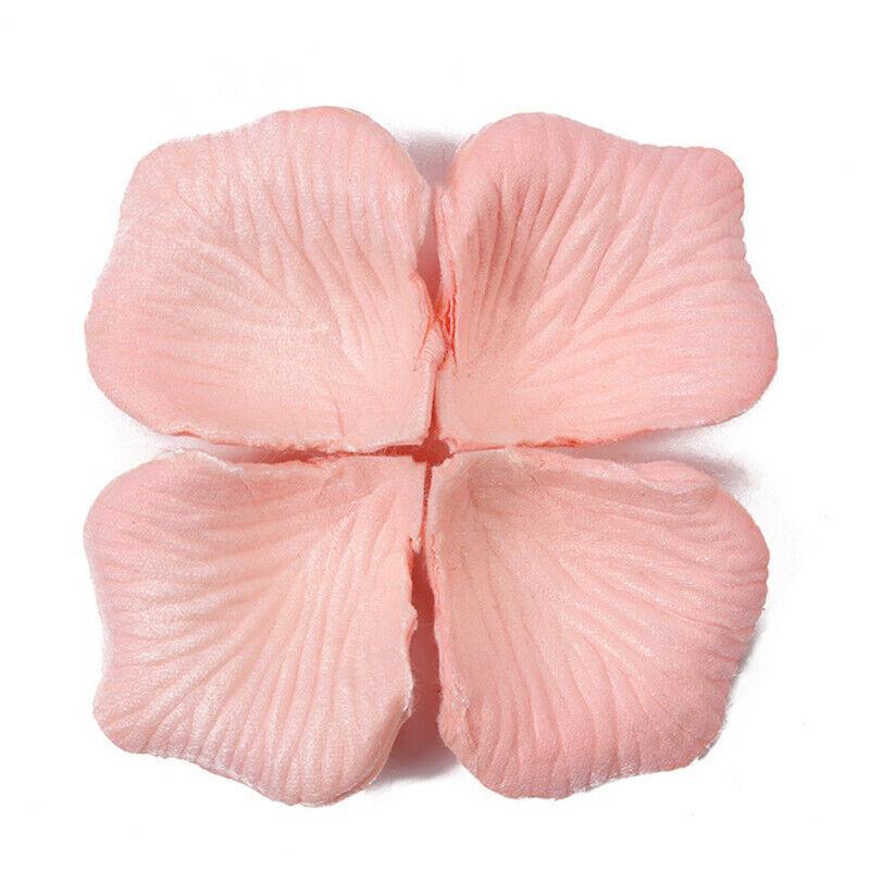 Image 17