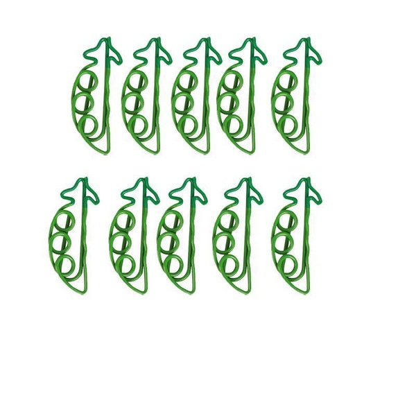 Image 13