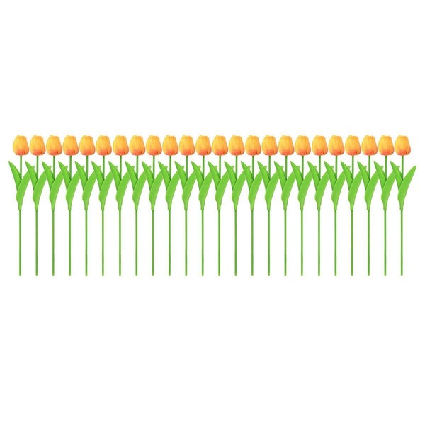 Image 12