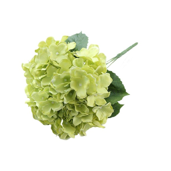 Image 13