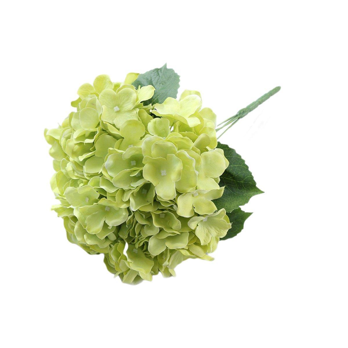 Image 13