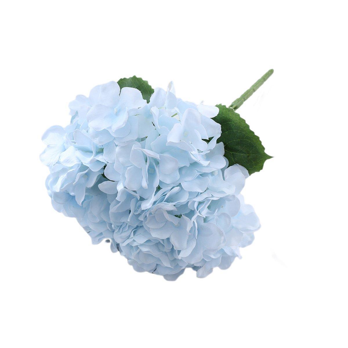 Image 14
