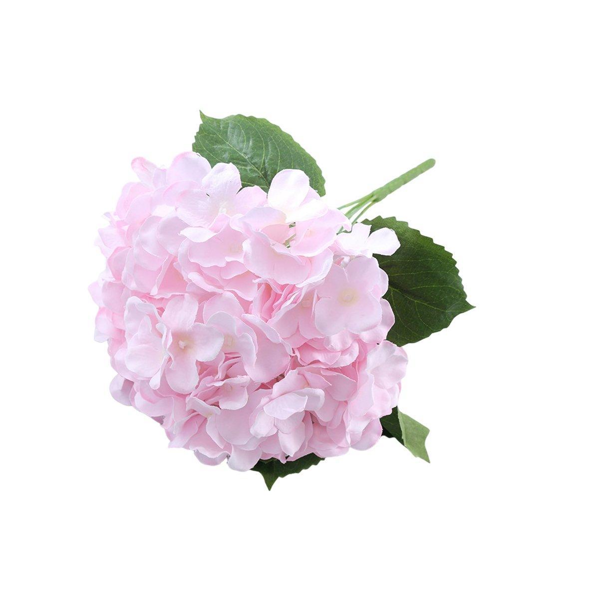 Image 16
