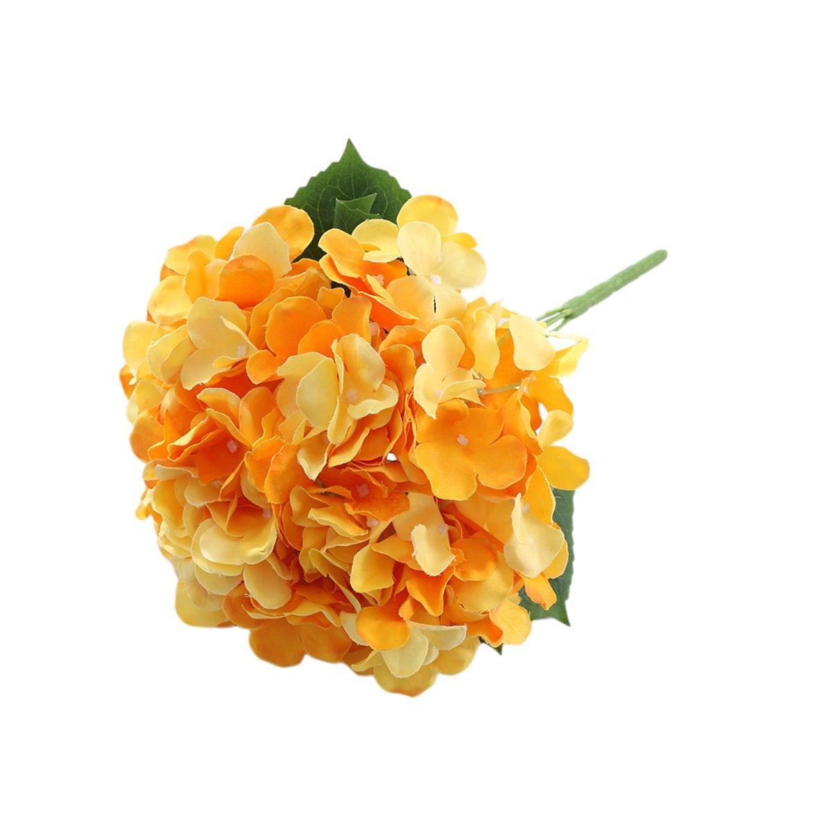 Image 17