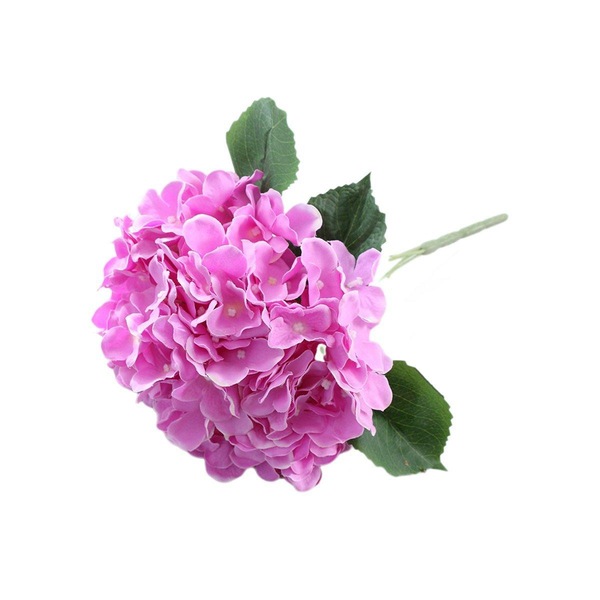 Image 19