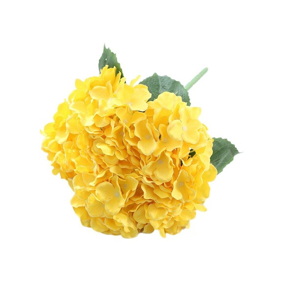 Image 22
