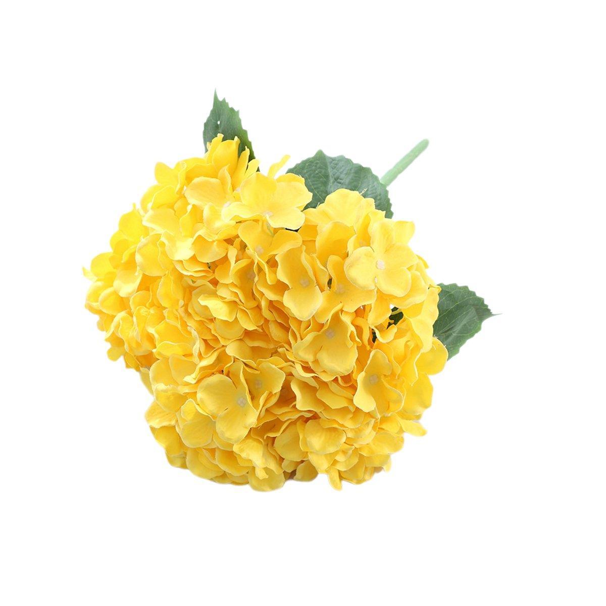 Image 22