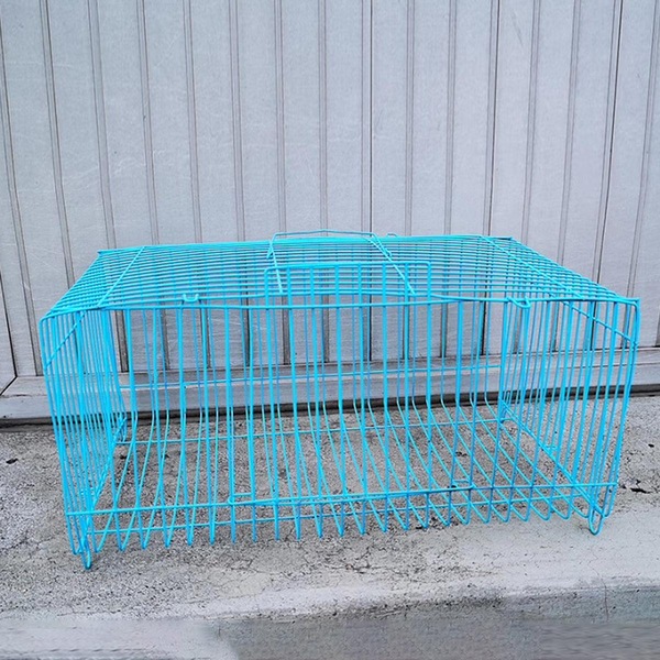 Image 8