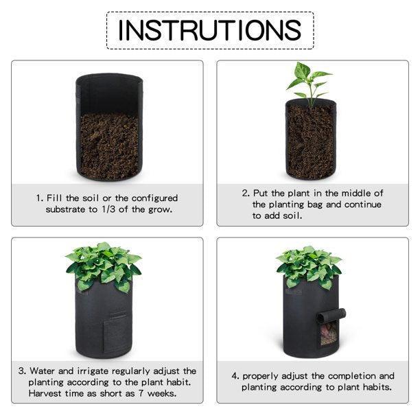 Image 5