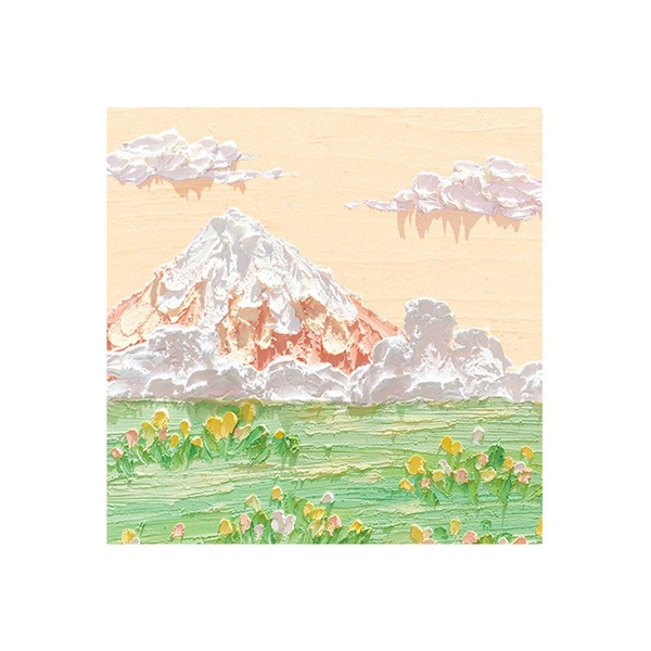 Image 13