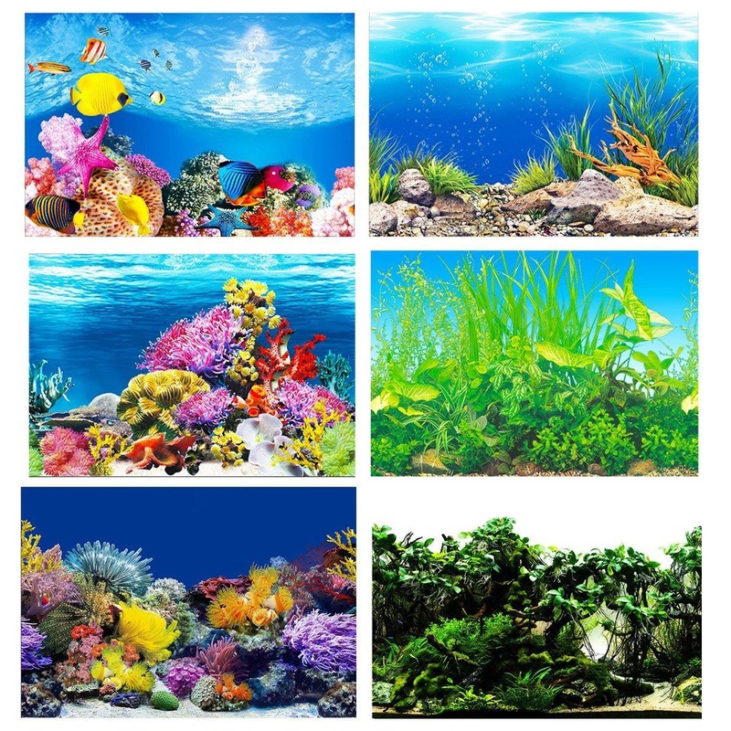 Buy Aquarium Background Fish Tank Wallpaper Double Sided Decoration