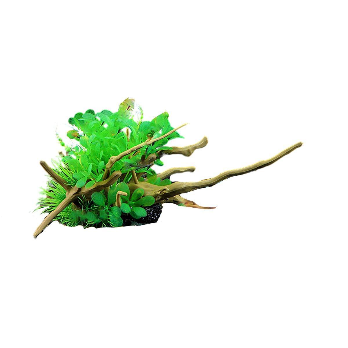 Image 17