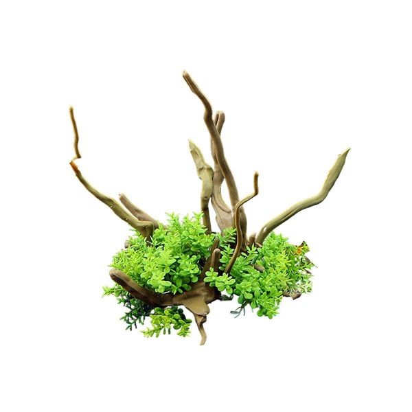 Image 21