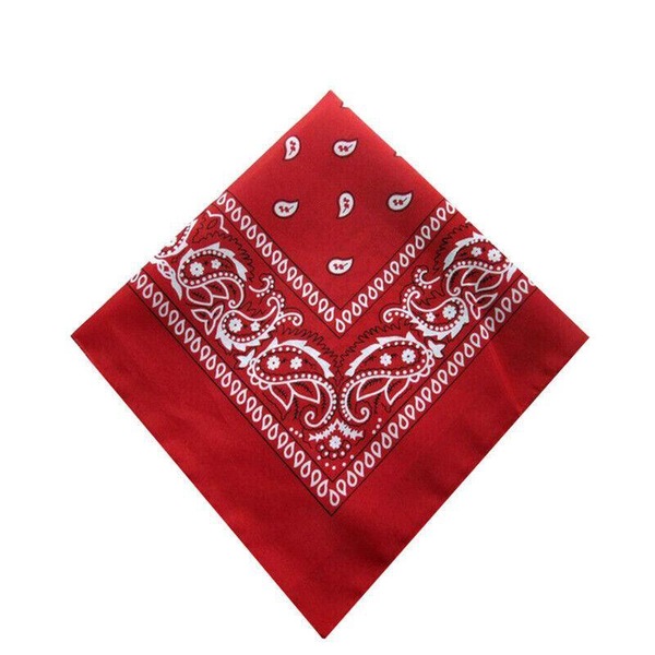 Image 21