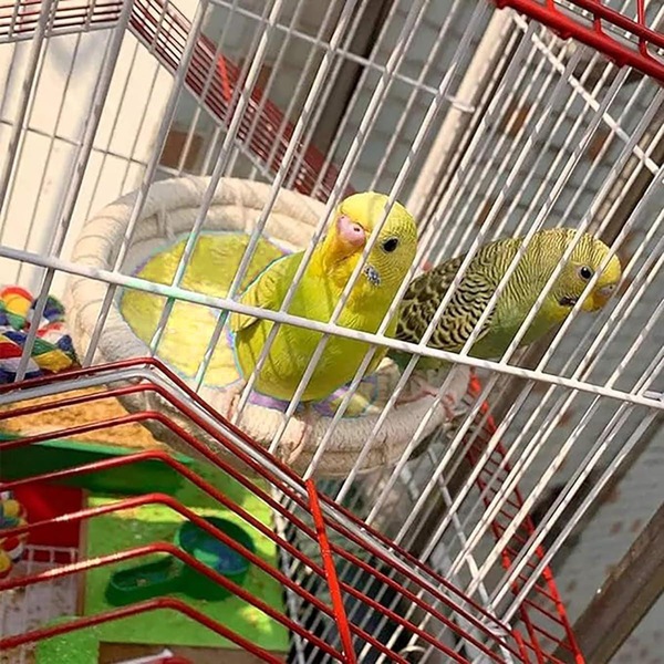 Image 9