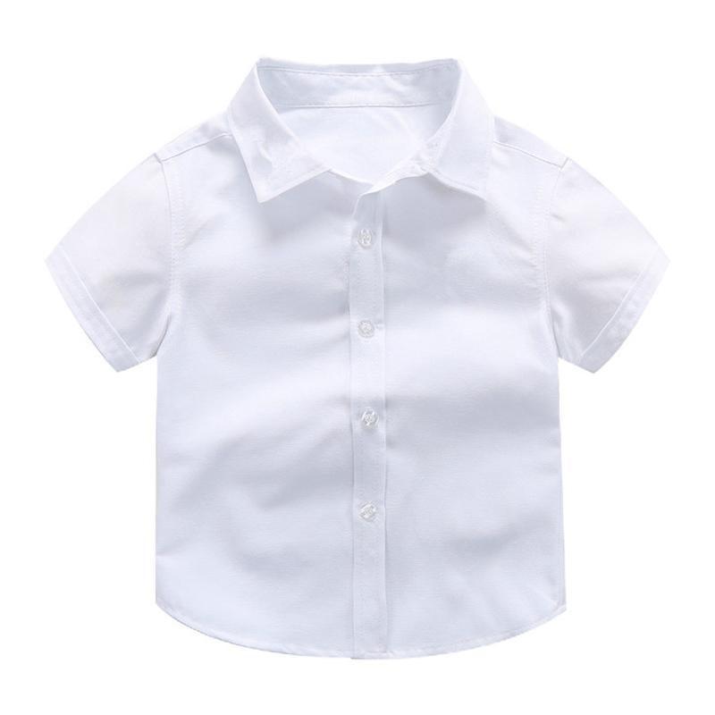 Image 13