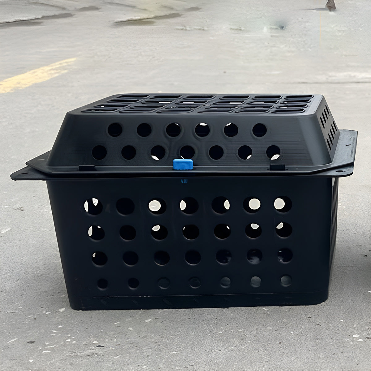 Image 5