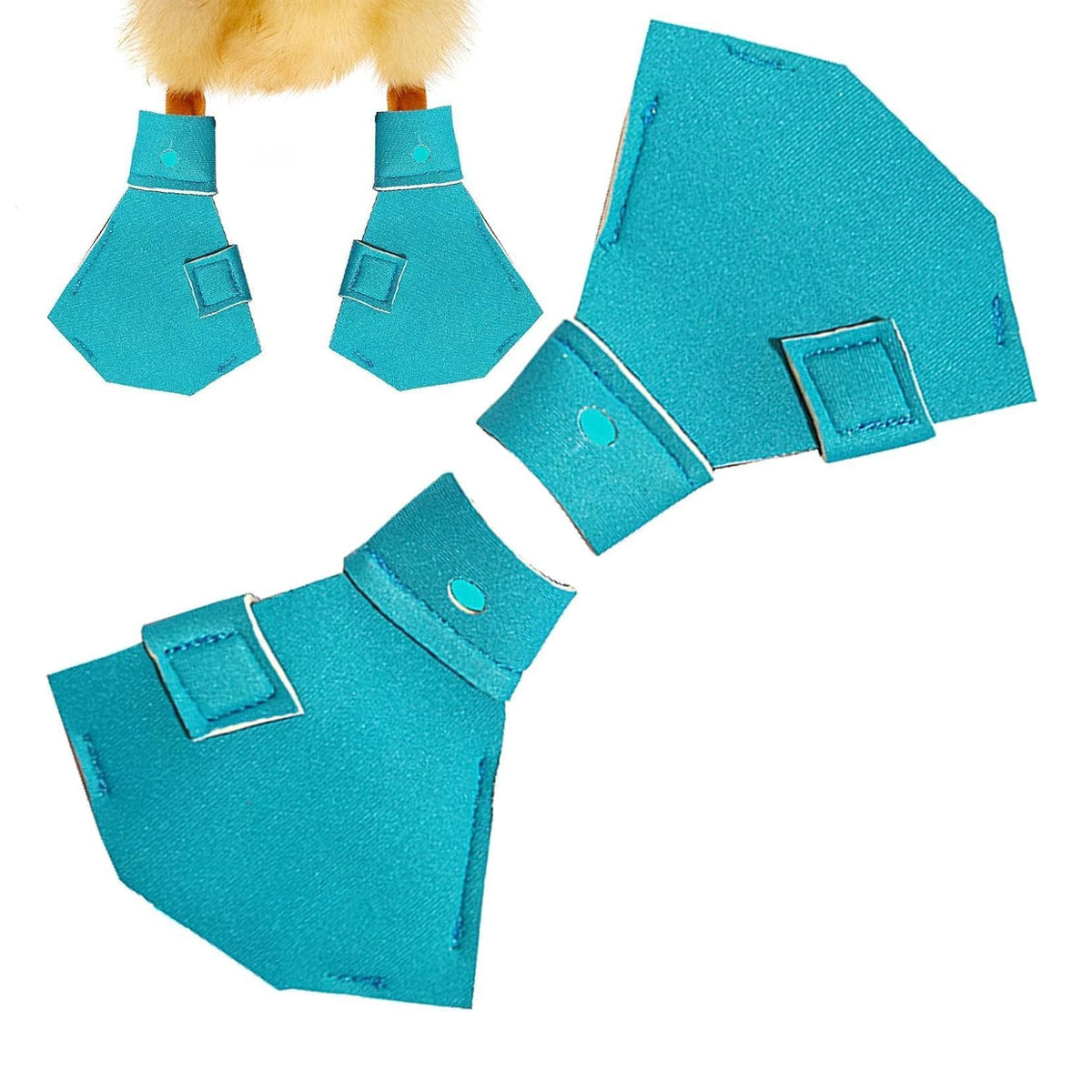 Image 5