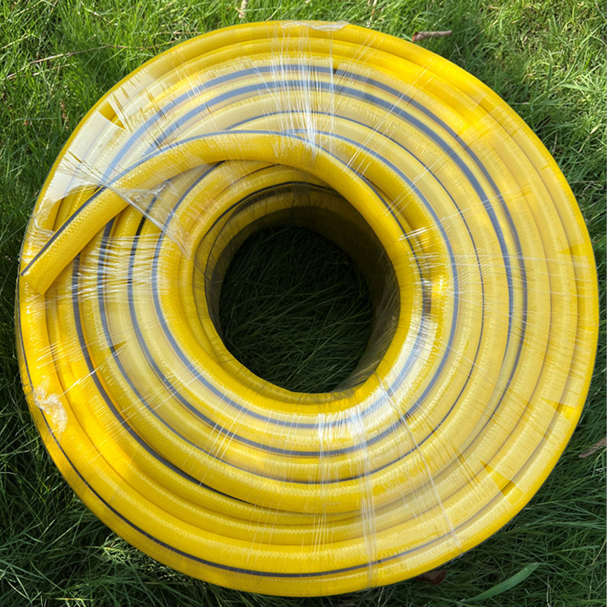 Image 7