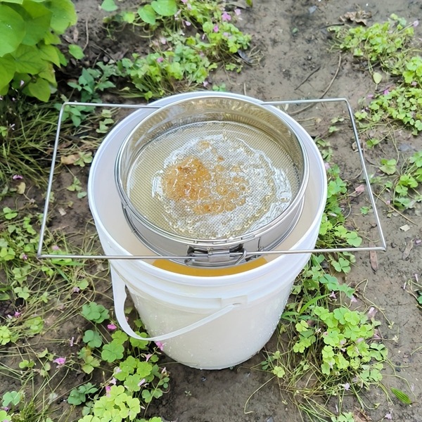 Image 9