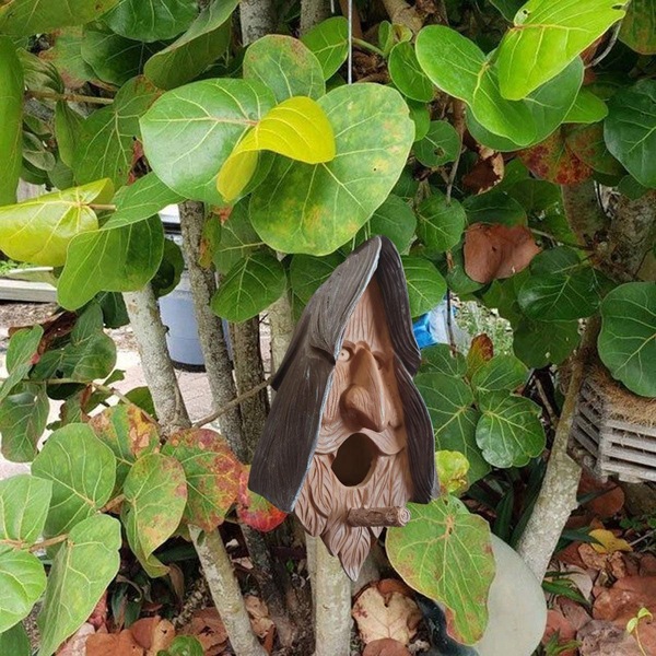 Image 9