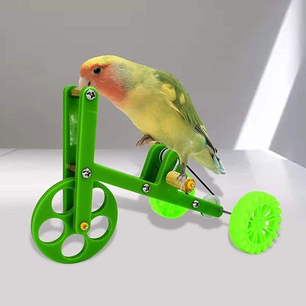 Image 7