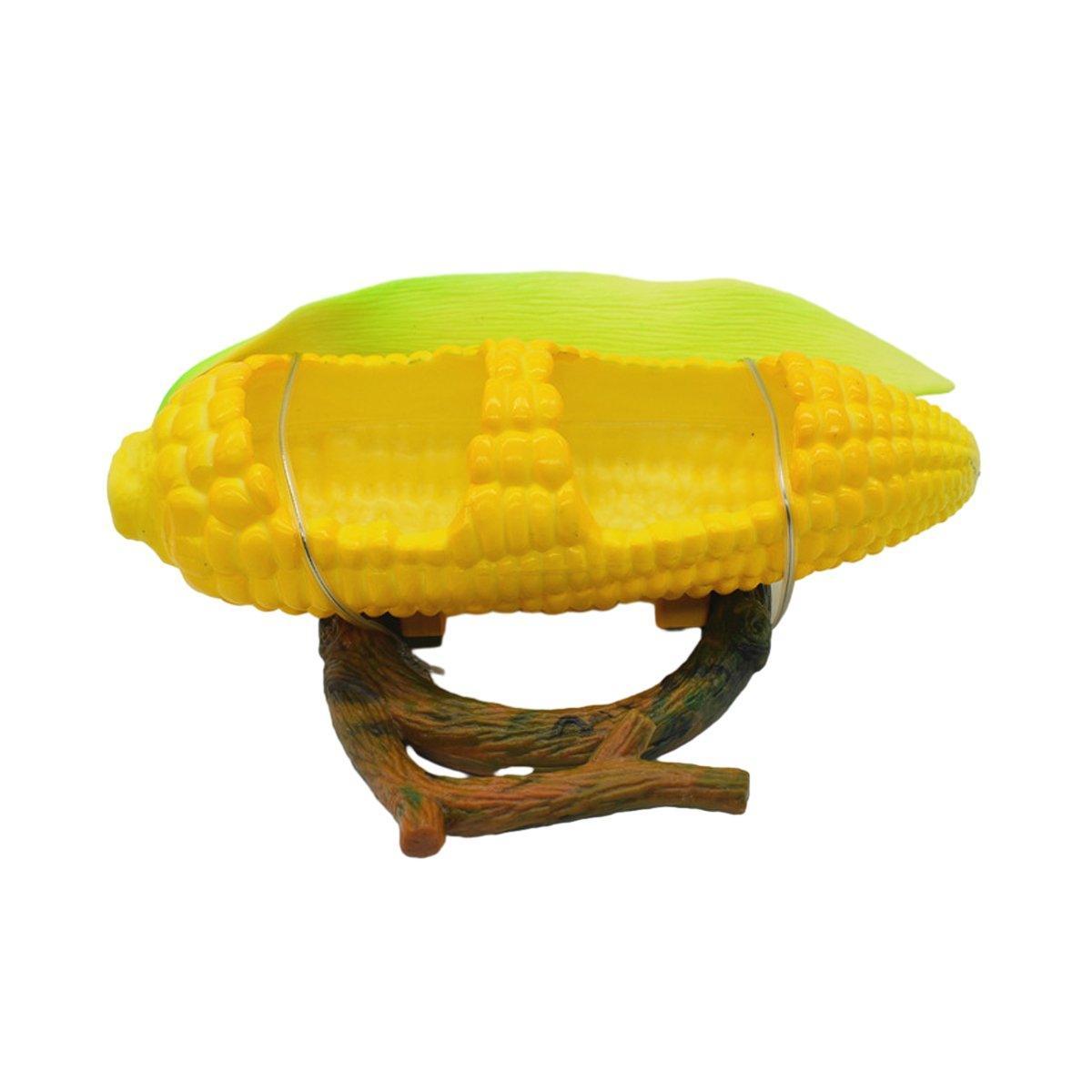 Image 14