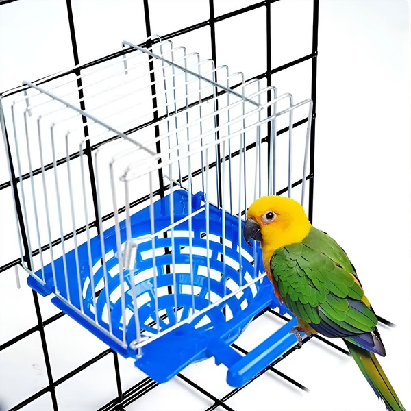 Image 5