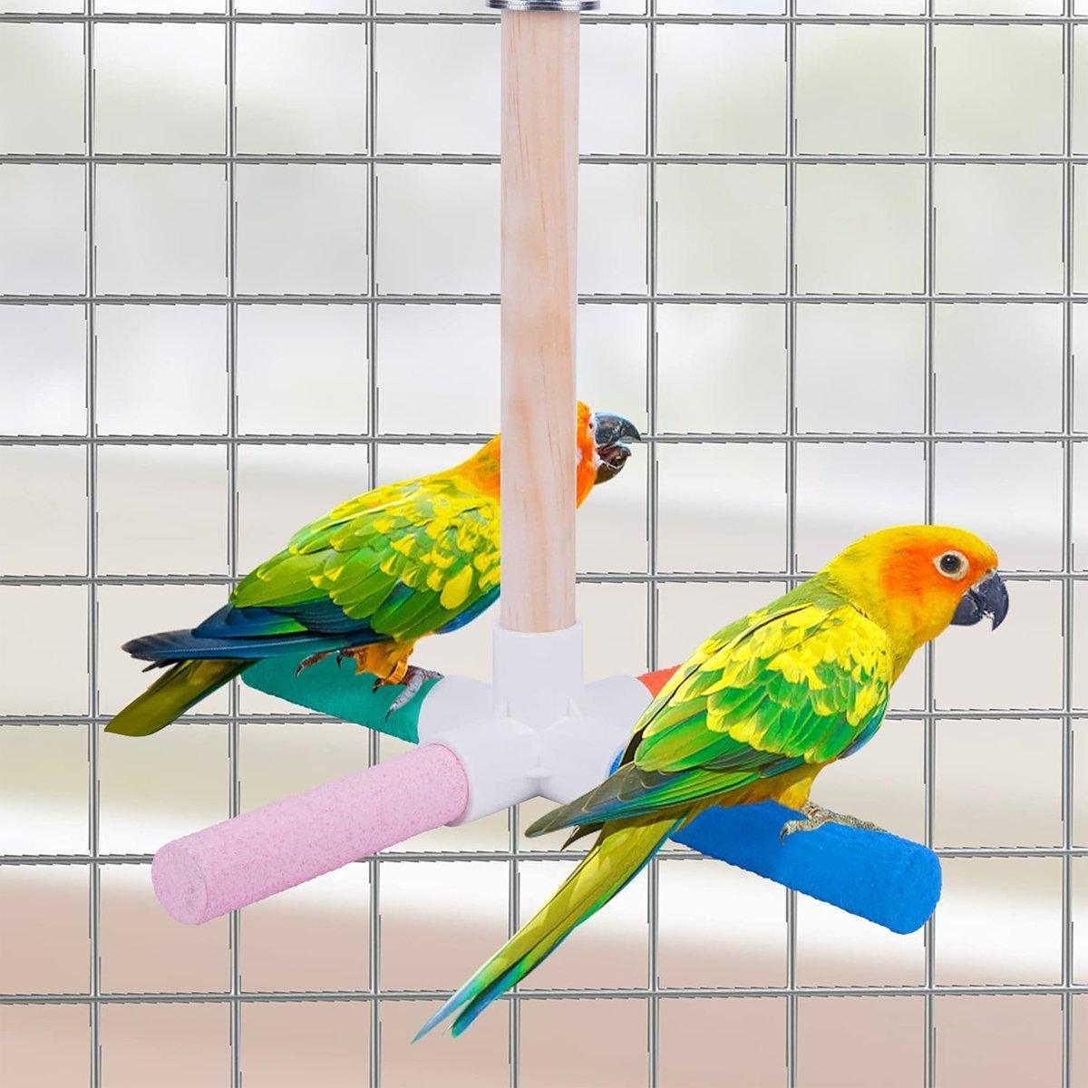 Image 7