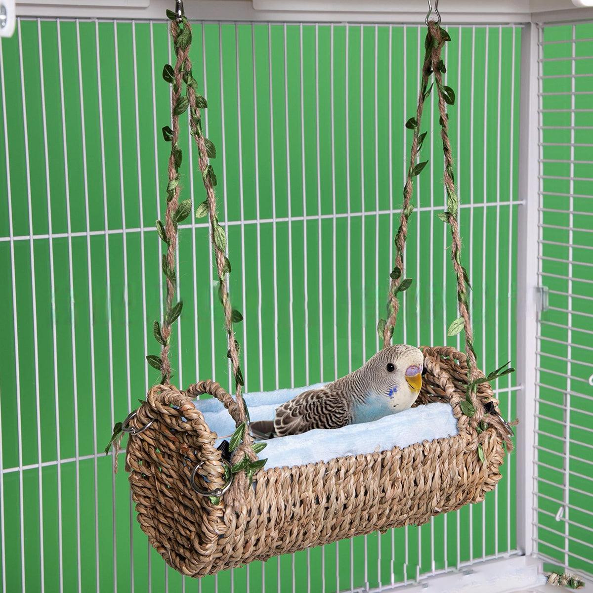 Image 8