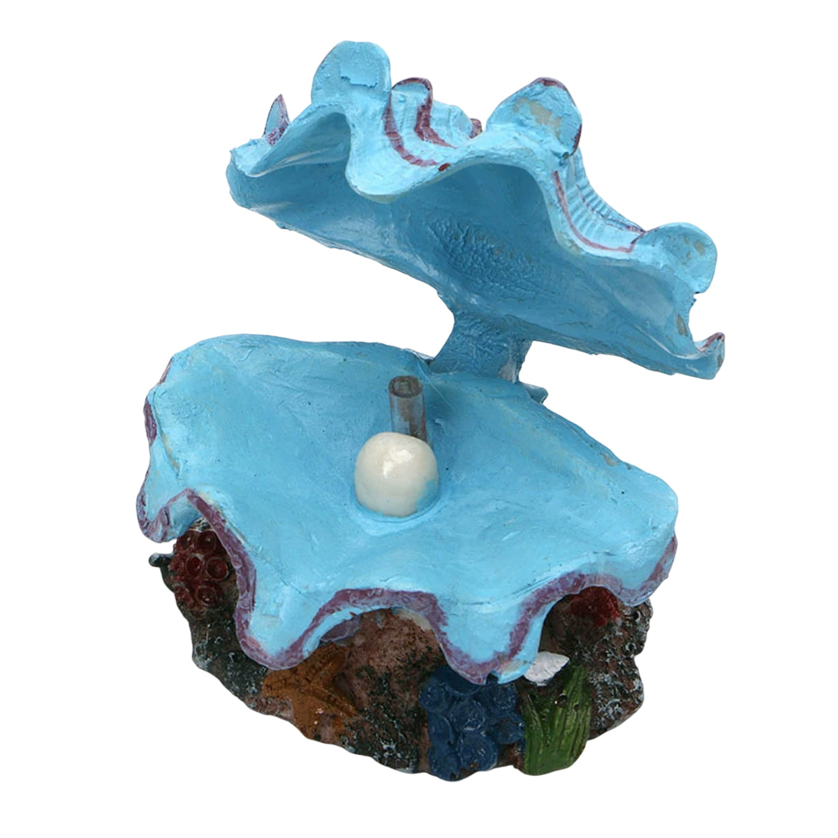 Image 11