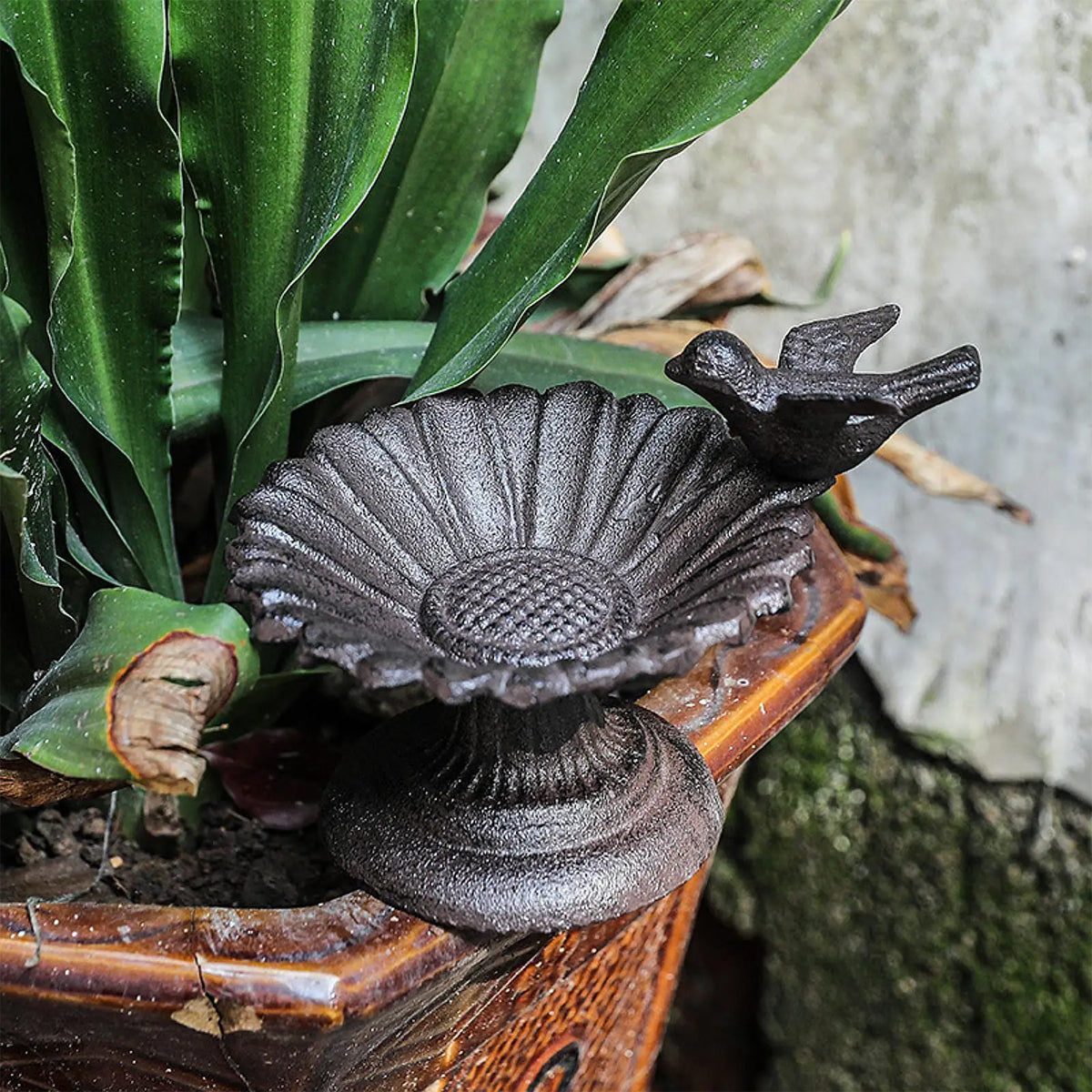 Image 9