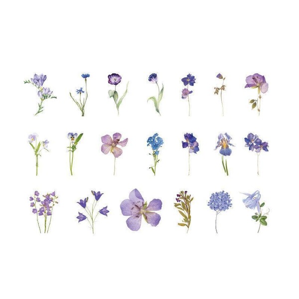 Image 14