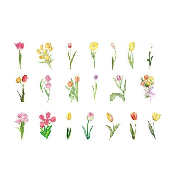 Image 15