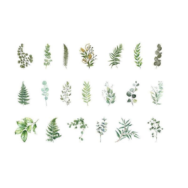 Image 16