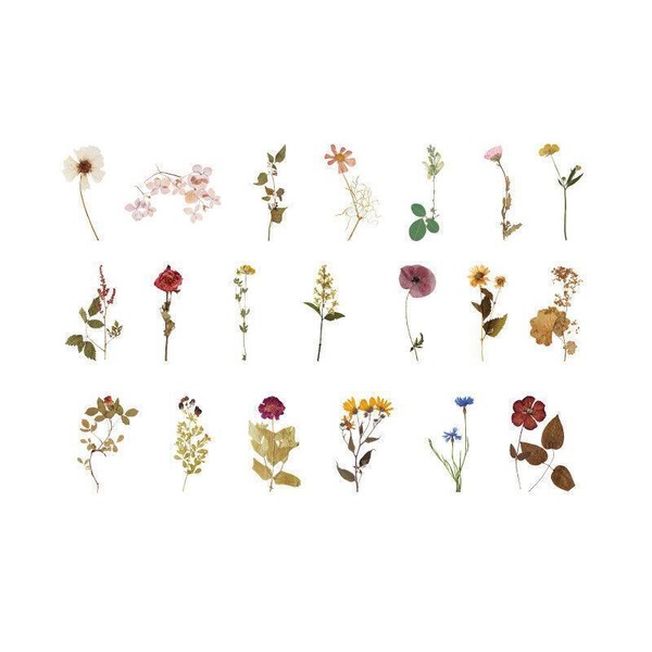Image 17
