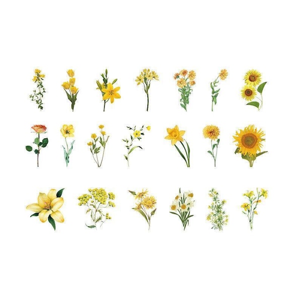 Image 18