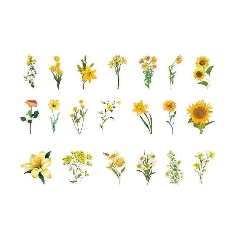 Image 18