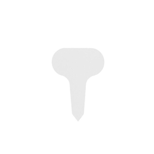Image 16