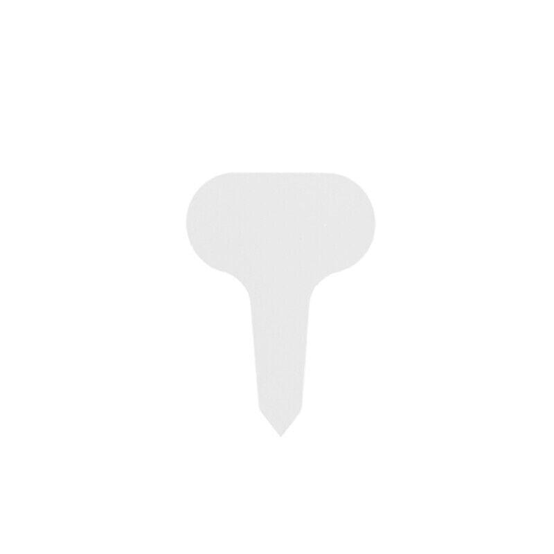 Image 16