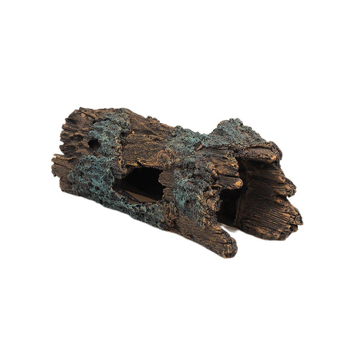 Image 12