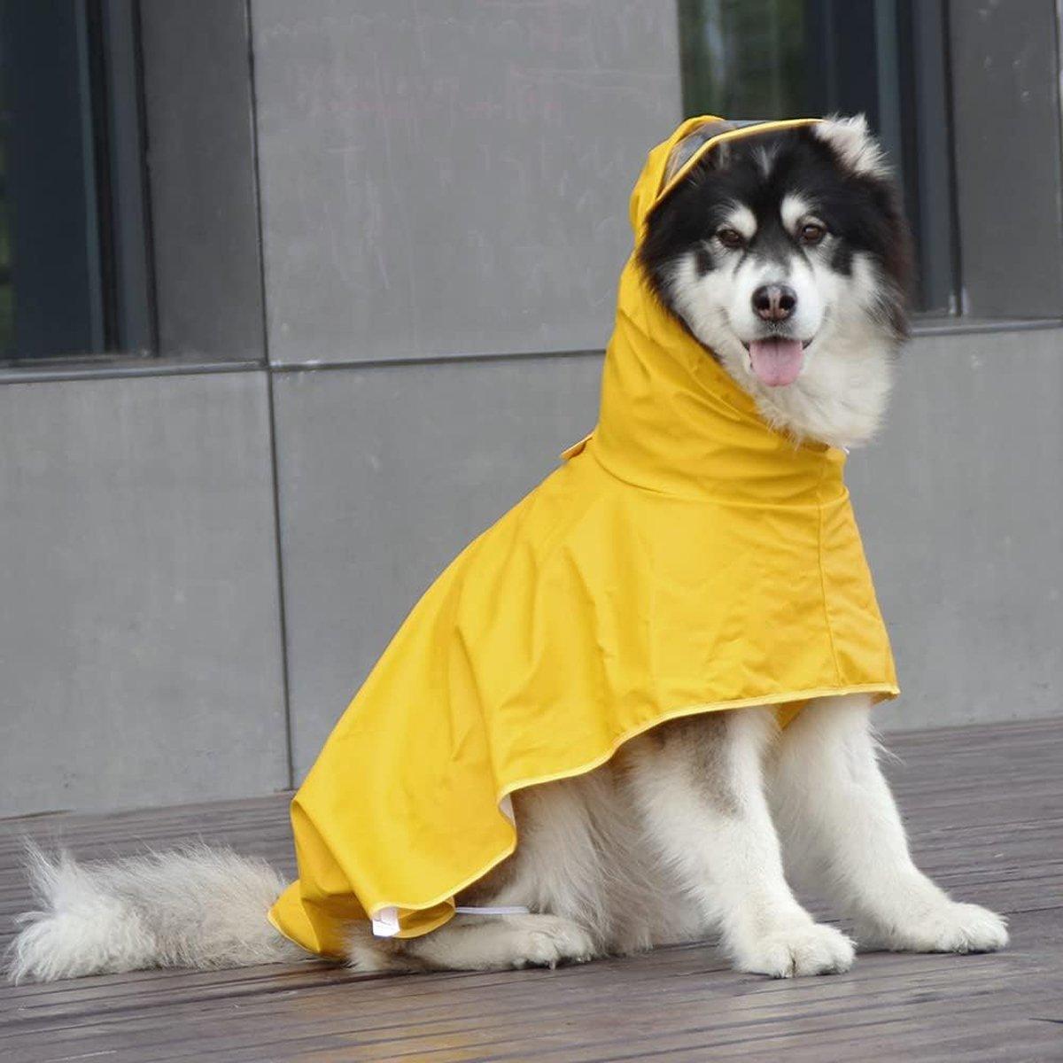 Image 9