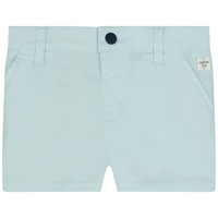 Carrement Beau Sea Green Shorts