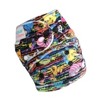 Front Snap Cloth Nappy #42 - minky
