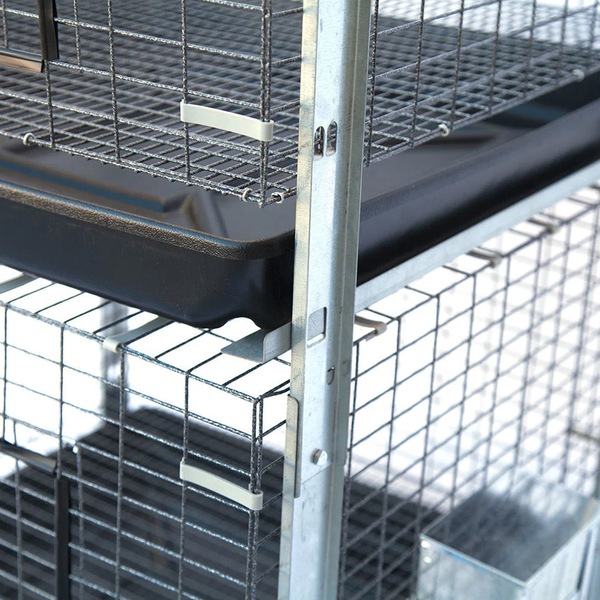 Image 6