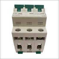 SUNTREE Circuit Breaker SL7-63C25 3P 25AMP - 2407