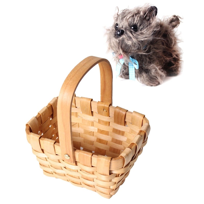 Buy Dorothy Costume Toto Basket - Mydeal