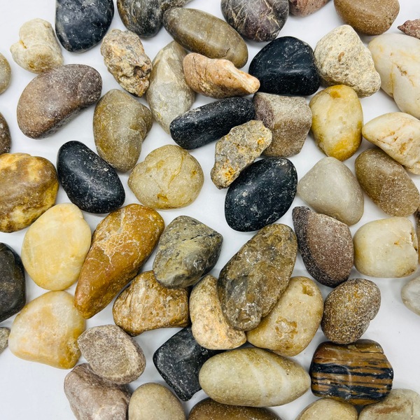 Image 9